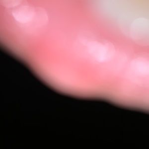 Meet your Posher, Dorian